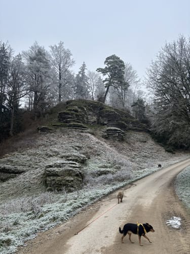 Kaisingerweg (Nr. 5)