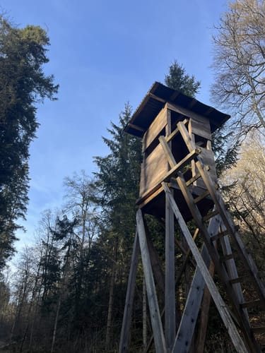 Von Rechtenstein zum Lautertal