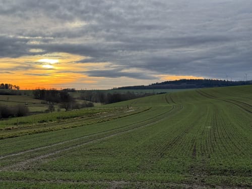 Butzel-Kewes-Weg (Traumschleifchen)