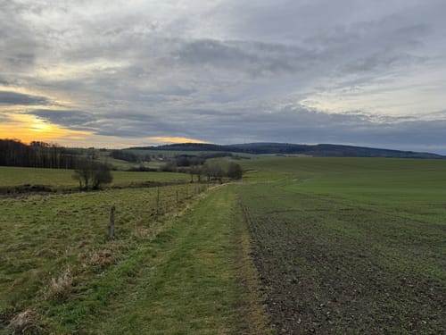 Butzel-Kewes-Weg (Traumschleifchen)