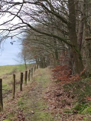 Erlesene Natur - Wo der Bock zum Gärtner wird