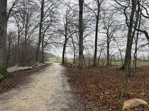 HOCHGEHBERGE I "hochgehlegen" (Premiumwanderweg)