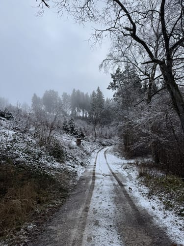 Morbach Rapperath Runde