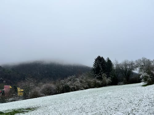 EifelSchleife Tönnesbusch