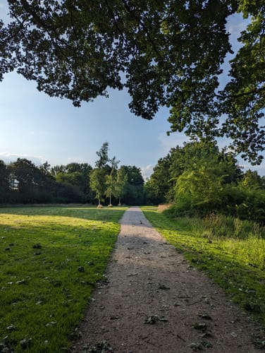 Um den Drielaker See