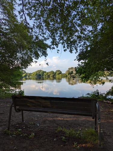 Um den Drielaker See