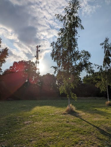 Um den Drielaker See