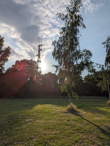 Um den Drielaker See