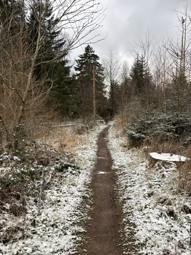 Rundwanderweg A1 (Willebadessen)