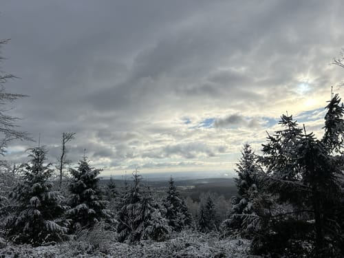 Rund um den Rettershof (Weg 8)