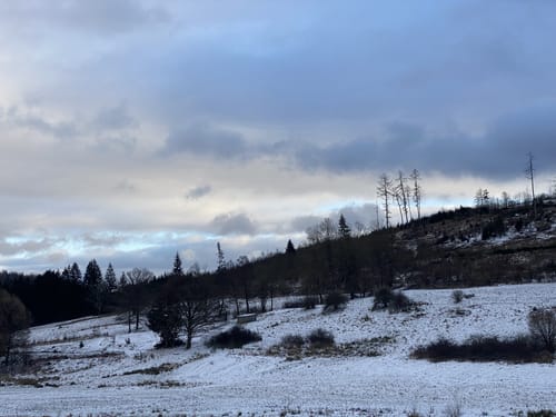 Oberlinspher Rundweg (Premiumwanderweg)
