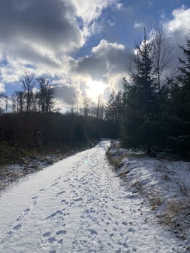 Oberlinspher Rundweg (Premiumwanderweg)