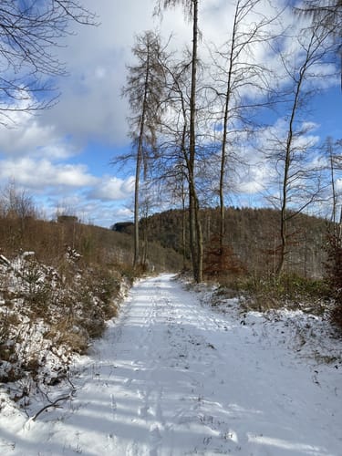 Oberlinspher Rundweg (Premiumwanderweg)