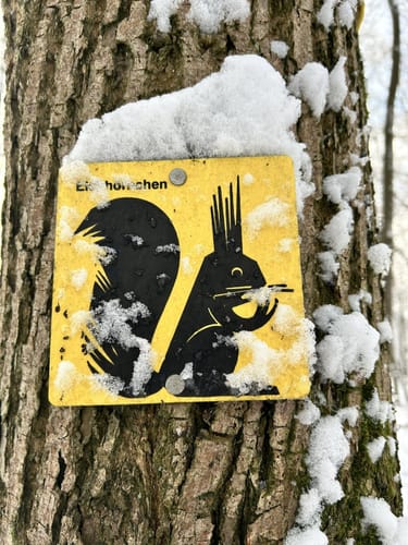 Rundweg Eichhörnchen Burgbernheim