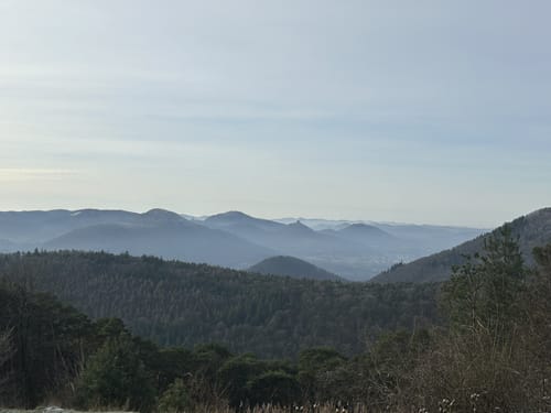 Gleisweiler - Trifelsblick - St.-Anna-Kapelle