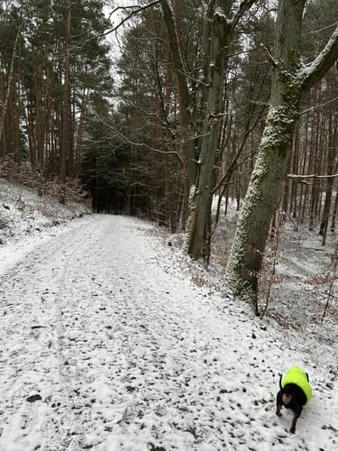 In den Rauener Bergen