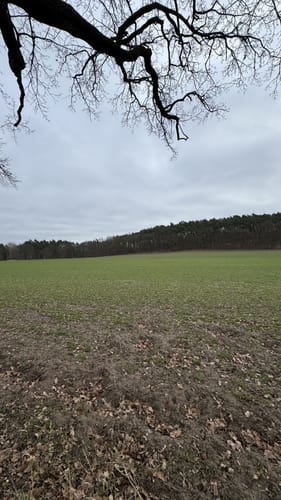 Ludwigsfelde Large Round