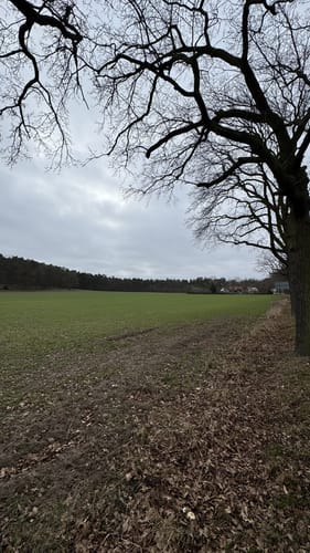 Ludwigsfelde Large Round