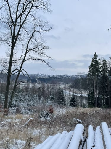 Zeulenrodaer Meer Rundweg