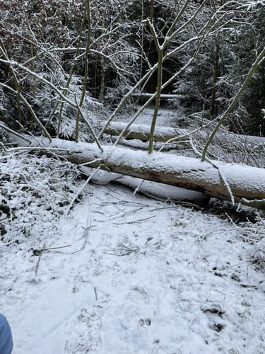 Zeulenrodaer Meer Rundweg