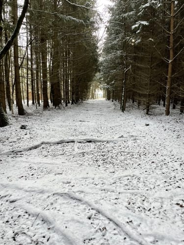 Zeulenrodaer Meer Rundweg