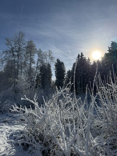 5-Seen-Wanderung um das Rotmoos