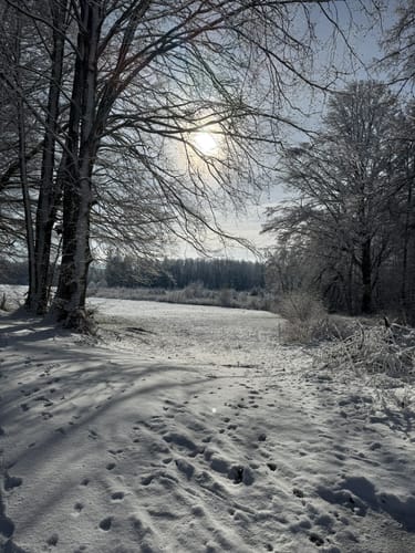 5-Seen-Wanderung um das Rotmoos