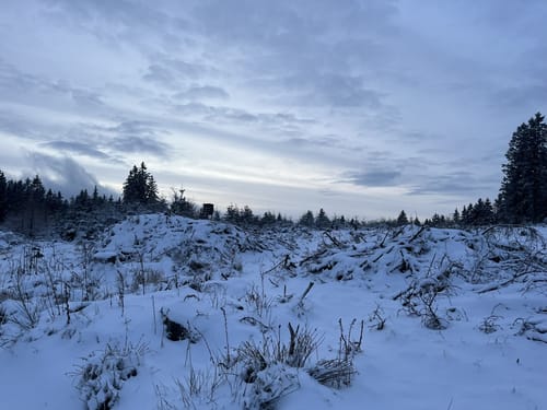 Bödefeld Rundweg B1