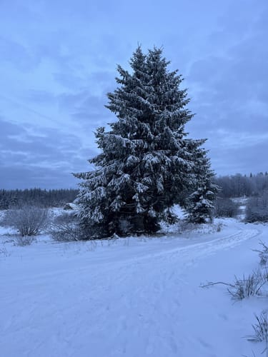Bödefeld Rundweg B1