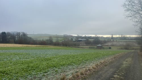 Petersberg 7