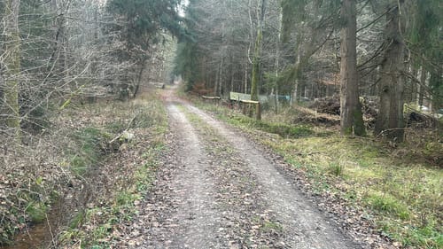 Petersberg 7