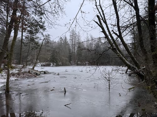 Dollbergschleife (Traumschleife)