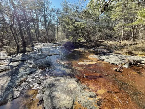 10 Best forest trails in DeSoto State Park | AllTrails