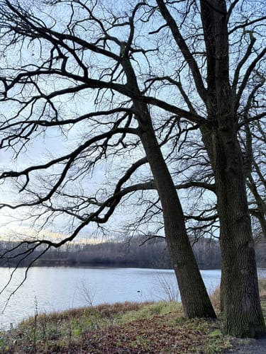 Um den Rubbenbruchsee