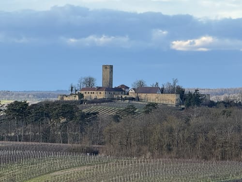 SU2 - Wandern zwischen Wein, Wald und Streuobstwiesen