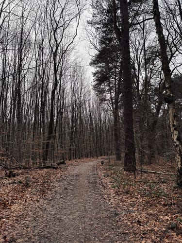Wahner-Heide: Geisterbusch Tour