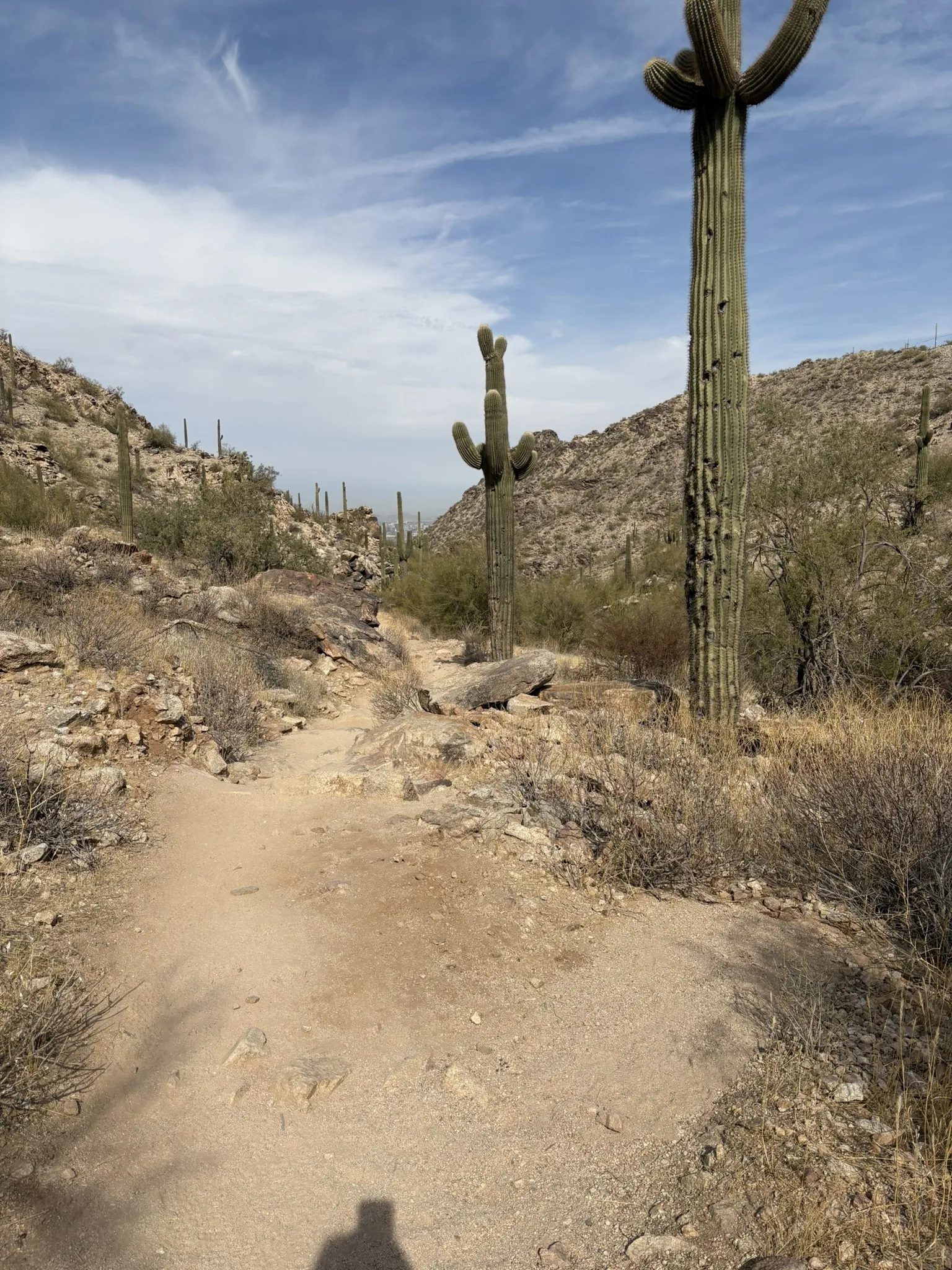 Explore the 15 best walks in Phoenix, Arizona, featuring scenic trails, desert landscapes, and iconic viewpoints. Whether you're a casual walker or a seasoned hiker, find the perfect route for your next adventure! Phoenix Hikes, Hikes In Phoenix Arizona, Phoenix Arizona Hikes, Easy Hikes In Phoenix Arizona, Best Hikes Near Phoenix AZ, Best Hikes In Phoenix Arizona