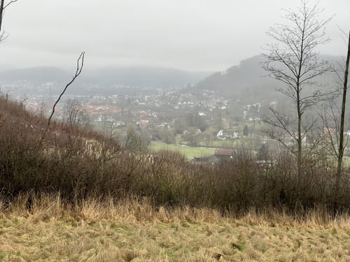 Humberg - Schierenberg Runde