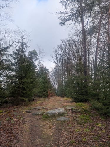 Zum Almersberg