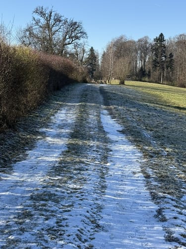 Waldrunde ab Schloss Vagen