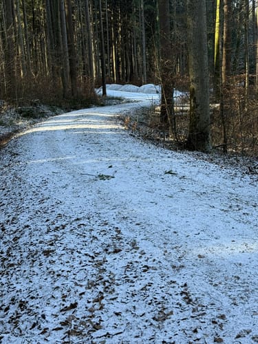 Waldrunde ab Schloss Vagen