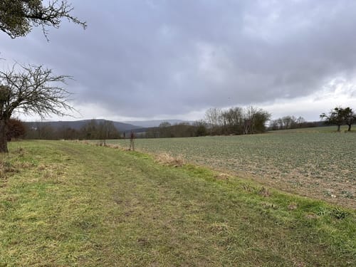 Um den Atzelberg