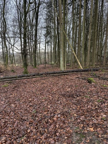 Um den Atzelberg