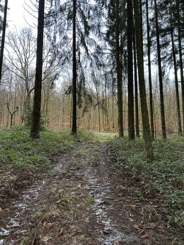 Um den Atzelberg
