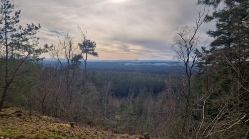 Taxölderner Schlucht zum Aussichtsturm Hirschberg
