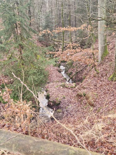 Taxölderner Schlucht zum Aussichtsturm Hirschberg