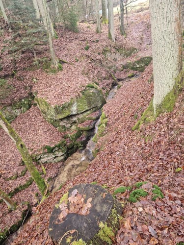 Taxölderner Schlucht zum Aussichtsturm Hirschberg