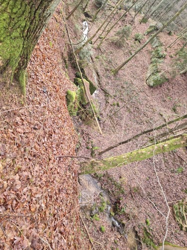 Taxölderner Schlucht zum Aussichtsturm Hirschberg