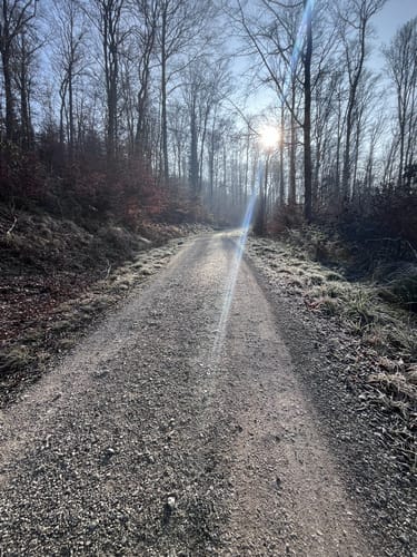 Durch das Landschaftsschutzgebiet Schurwaldrand
