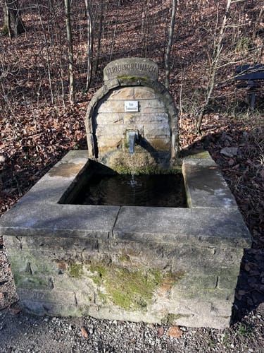 Durch das Landschaftsschutzgebiet Schurwaldrand